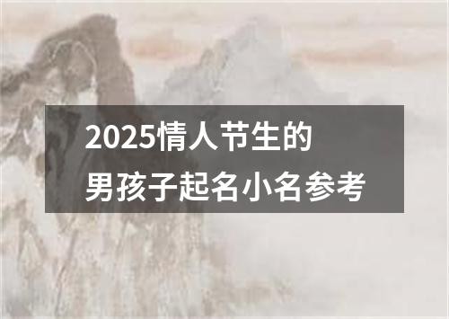 2025情人节生的男孩子起名小名参考