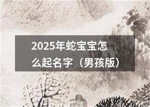 2025年蛇宝宝怎么起名字（男孩版）