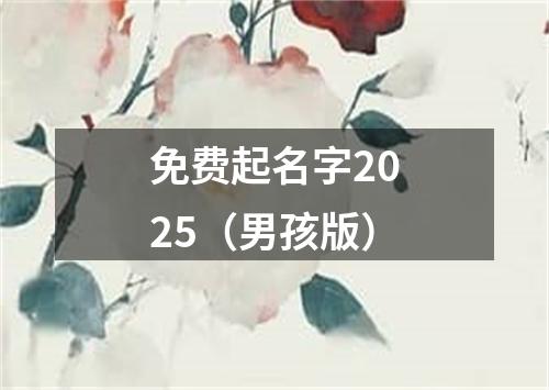 免费起名字2025（男孩版）