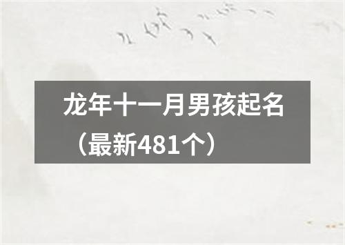 龙年十一月男孩起名（最新481个）