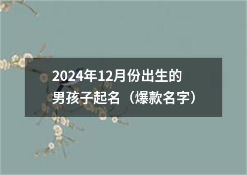 2024年12月份出生的男孩子起名（爆款名字）