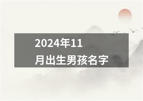 2024年11月出生男孩名字