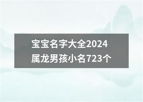 宝宝名字大全2024属龙男孩小名723个