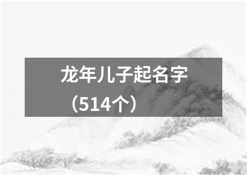 龙年儿子起名字（514个）