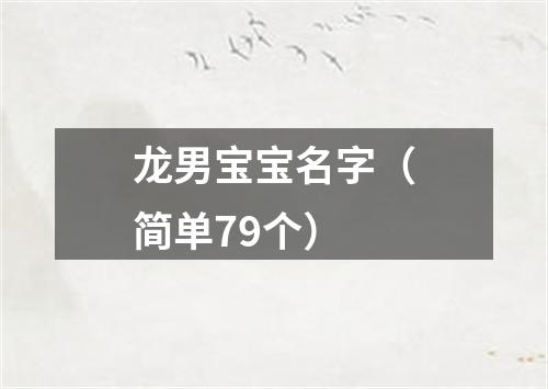 龙男宝宝名字（简单79个）