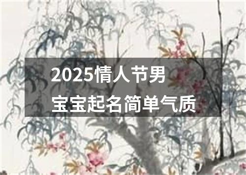 2025情人节男宝宝起名简单气质