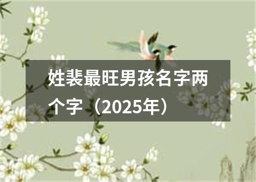 姓裴最旺男孩名字两个字（2025年）