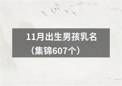 11月出生男孩乳名（集锦607个）