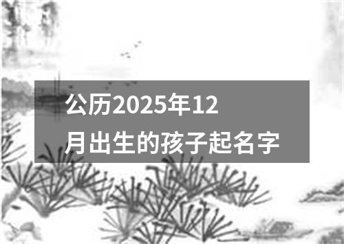 公历2025年12月出生的孩子起名字