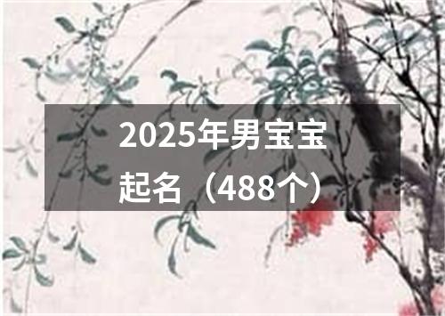 2025年男宝宝起名（488个）