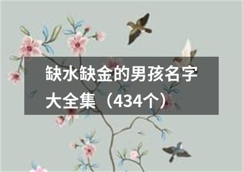 缺水缺金的男孩名字大全集（434个）