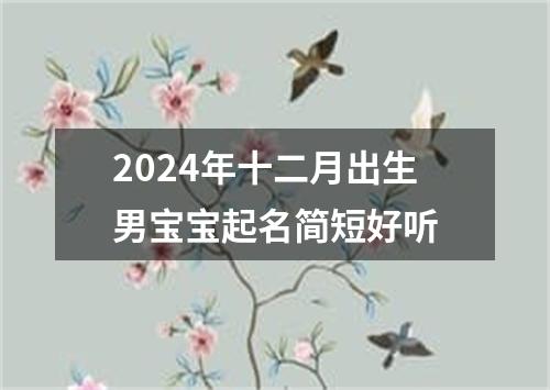 2024年十二月出生男宝宝起名简短好听