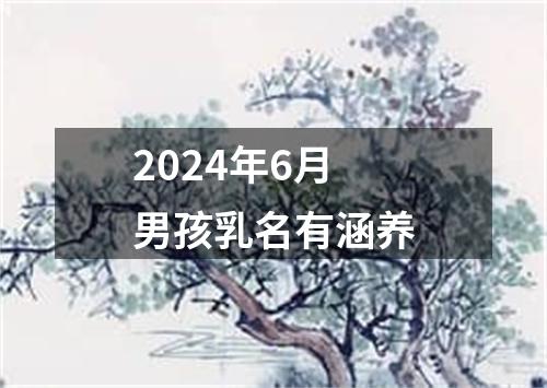 2024年6月男孩乳名有涵养