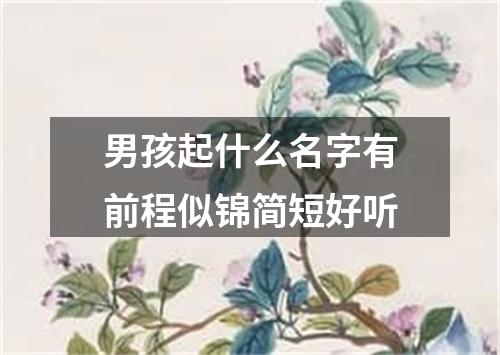 男孩起什么名字有前程似锦简短好听