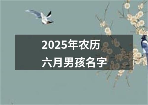 2025年农历六月男孩名字