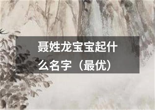 聂姓龙宝宝起什么名字（最优）