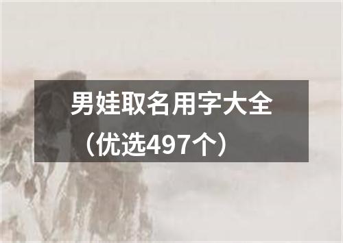 男娃取名用字大全（优选497个）