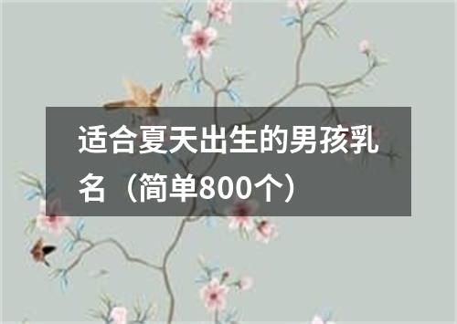 适合夏天出生的男孩乳名（简单800个）