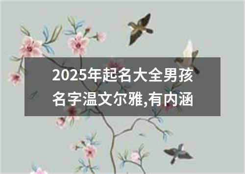 2025年起名大全男孩名字温文尔雅,有内涵