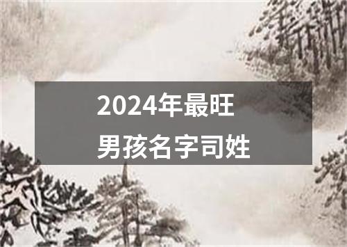 2024年最旺男孩名字司姓