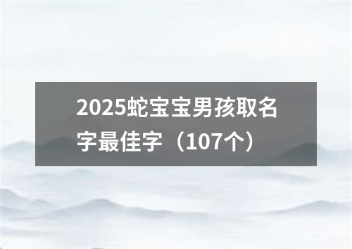 2025蛇宝宝男孩取名字最佳字（107个）