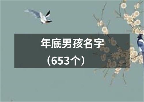 年底男孩名字（653个）