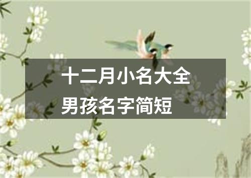 十二月小名大全男孩名字简短