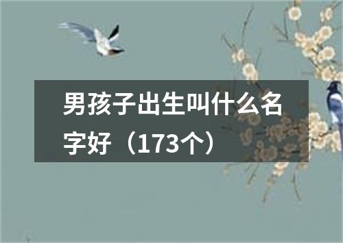 男孩子出生叫什么名字好（173个）