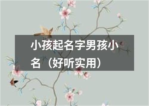 小孩起名字男孩小名（好听实用）