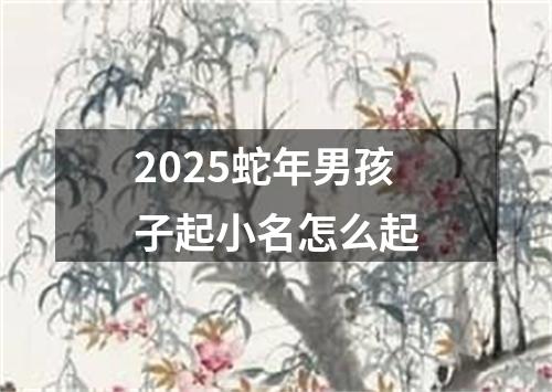 2025蛇年男孩子起小名怎么起