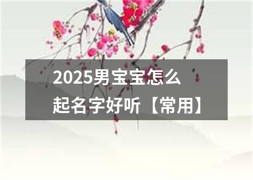 2025男宝宝怎么起名字好听【常用】