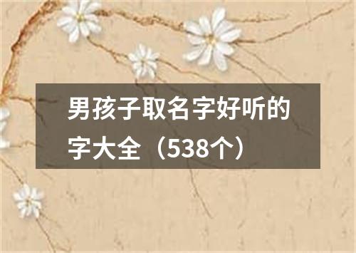 男孩子取名字好听的字大全（538个）