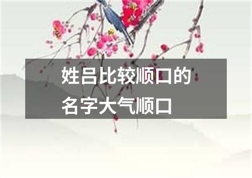 姓吕比较顺口的名字大气顺口