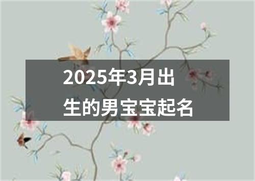 2025年3月出生的男宝宝起名