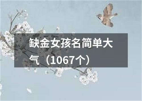 缺金女孩名简单大气（1067个）