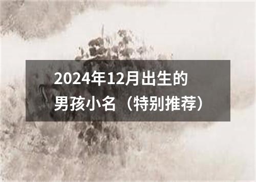 2024年12月出生的男孩小名（特别推荐）