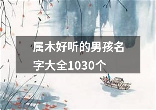 属木好听的男孩名字大全1030个