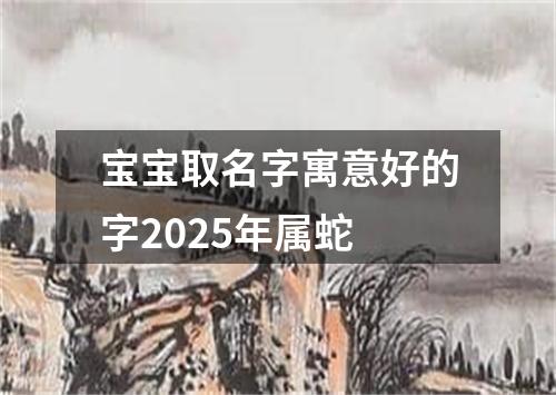 宝宝取名字寓意好的字2025年属蛇