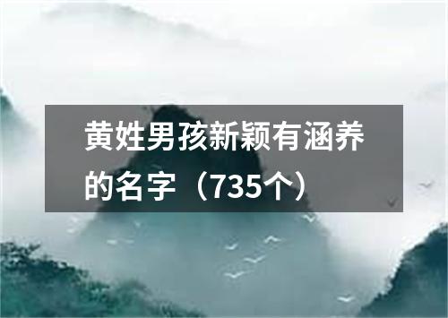 黄姓男孩新颖有涵养的名字（735个）