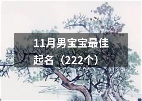 11月男宝宝最佳起名（222个）