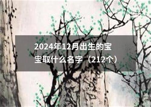 2024年12月出生的宝宝取什么名字（212个）