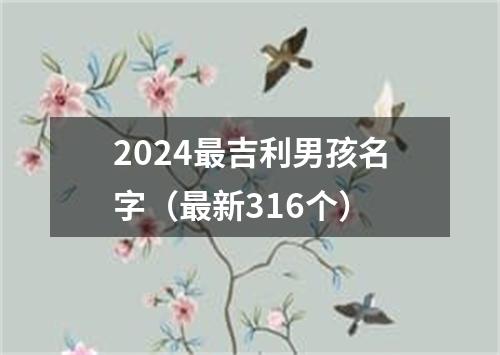 2024最吉利男孩名字（最新316个）