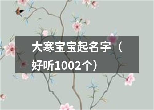 大寒宝宝起名字（好听1002个）