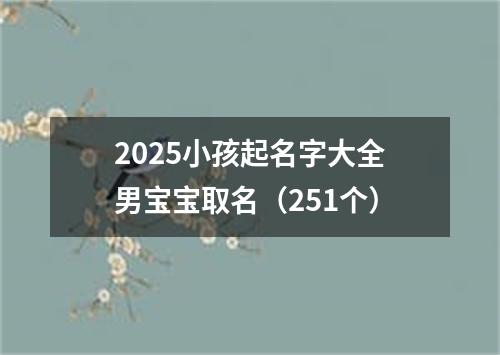 2025小孩起名字大全男宝宝取名（251个）