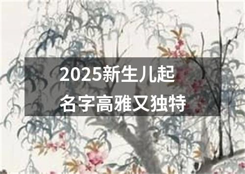 2025新生儿起名字高雅又独特