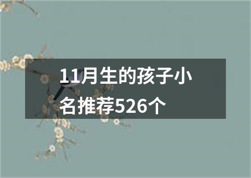 11月生的孩子小名推荐526个