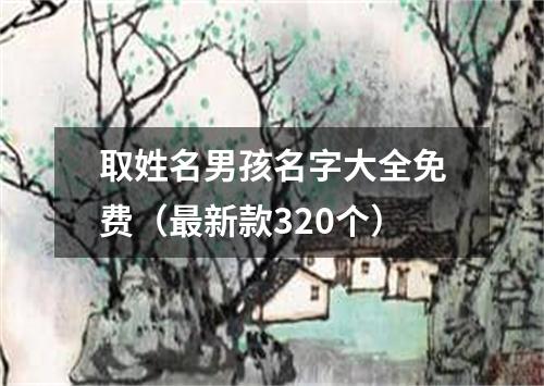 取姓名男孩名字大全免费（最新款320个）