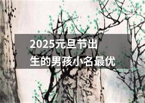 2025元旦节出生的男孩小名最优