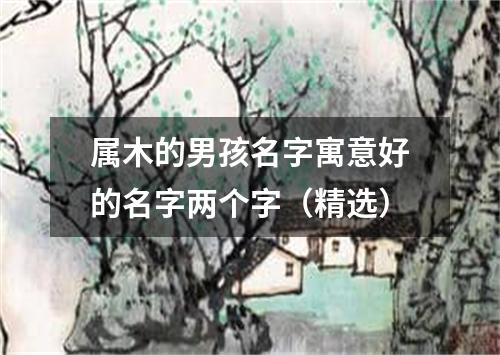 属木的男孩名字寓意好的名字两个字（精选）