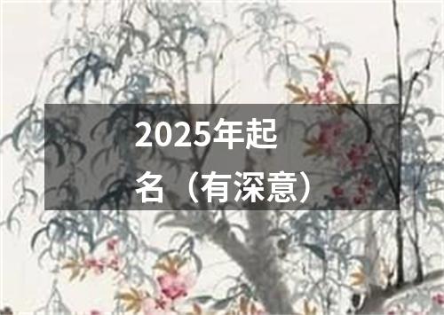 2025年起名（有深意）